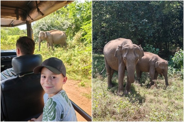 Двое суток провели в самолете — оно того стоило? Слетали на тропический остров посреди зимы и делимся впечатлениями Двое суток провели в самолете — оно того стоило? Слетали на тропический остров посреди зимы и делимся впечатлениями