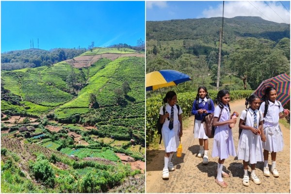 Двое суток провели в самолете — оно того стоило? Слетали на тропический остров посреди зимы и делимся впечатлениями Двое суток провели в самолете — оно того стоило? Слетали на тропический остров посреди зимы и делимся впечатлениями