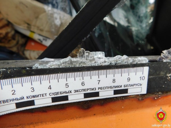 Рассеянный хулиган повредил автомобиль в Бресте. Ущерб оценили эксперты Рассеянный хулиган повредил автомобиль в Бресте. Ущерб оценили эксперты