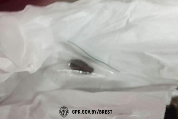 На границе в Бресте служебная собака среагировала на куртку. Что там нашли? На границе в Бресте служебная собака среагировала на куртку. Что там нашли?