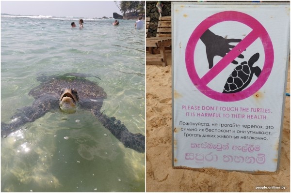 Двое суток провели в самолете — оно того стоило? Слетали на тропический остров посреди зимы и делимся впечатлениями Двое суток провели в самолете — оно того стоило? Слетали на тропический остров посреди зимы и делимся впечатлениями