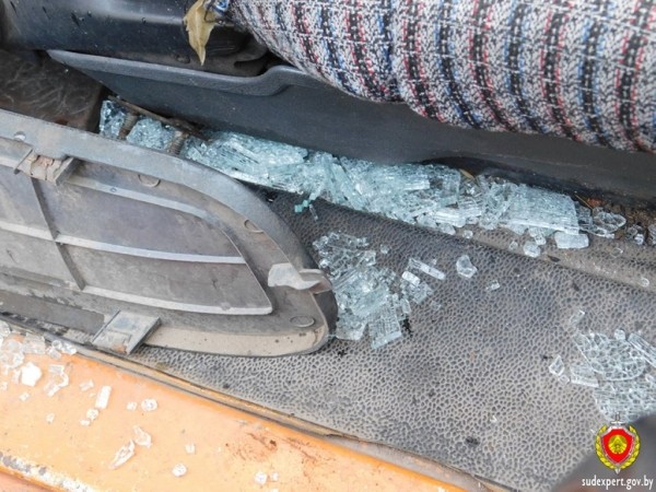 Рассеянный хулиган повредил автомобиль в Бресте. Ущерб оценили эксперты Рассеянный хулиган повредил автомобиль в Бресте. Ущерб оценили эксперты