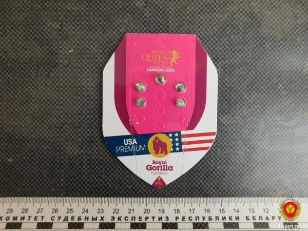 Семена конопли доставили мужчине проблем на границе в Бресте Семена конопли доставили мужчине проблем на границе в Бресте