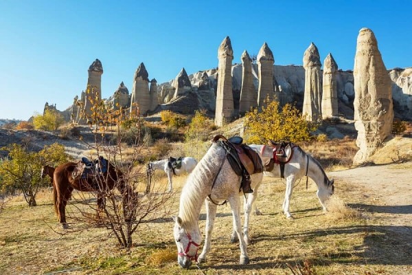 Пять необычных вариантов отдыха за границей, для которых белорусам не нужен «шенген» Пять необычных вариантов отдыха за границей, для которых белорусам не нужен «шенген»