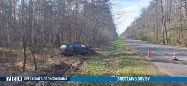 Водитель из Бреста на Ford врезался в дерево
