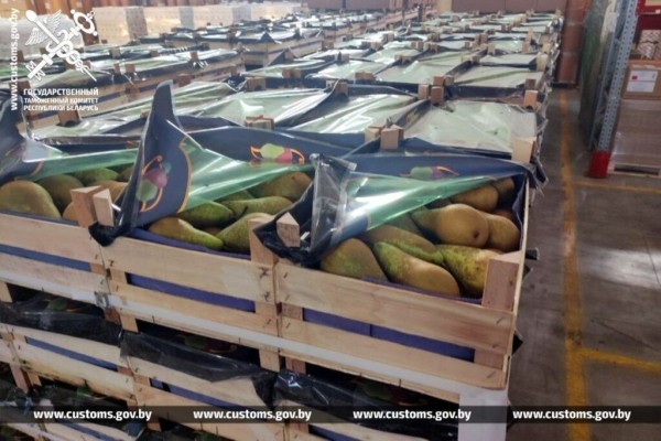 Почти 64 тонны груш пытались незаконно провезти через российско-белорусскую границу Почти 64 тонны груш пытались незаконно провезти через российско-белорусскую границу
