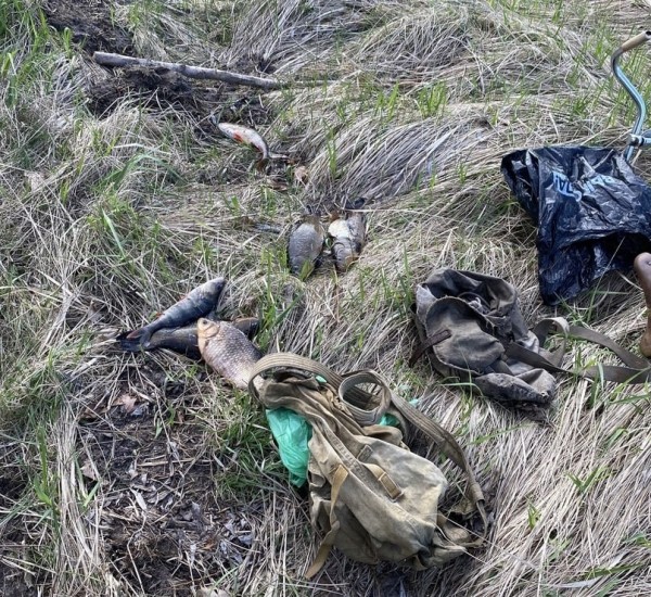 В Пинском районе два браконьера наловили в Припяти крупный штраф В Пинском районе два браконьера наловили в Припяти крупный штраф