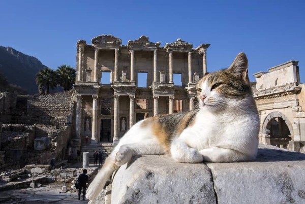 Пять необычных вариантов отдыха за границей, для которых белорусам не нужен «шенген» Пять необычных вариантов отдыха за границей, для которых белорусам не нужен «шенген»