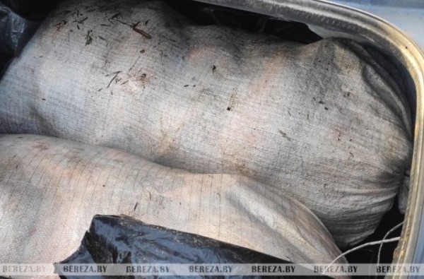 Более 100 кг рыбы в багажнике: на жителя Березовского района заведено уголовное дело Более 100 кг рыбы в багажнике: на жителя Березовского района заведено уголовное дело