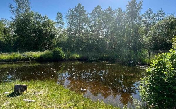 Молодой мужчина утонул в пруду на территории частного дома в Брестской области Молодой мужчина утонул в пруду на территории частного дома в Брестской области