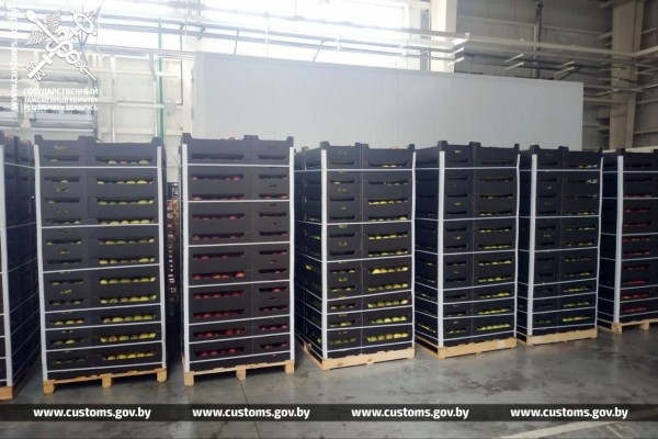 Таможенники задержали почти полторы тысячи тонн польских яблок. По бумагам они были молдавскими