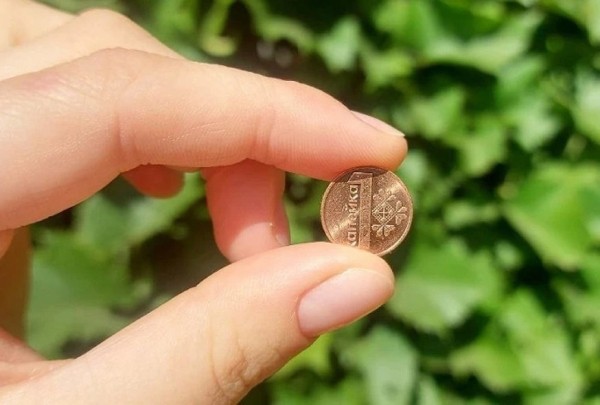 Как изменился бюджет прожиточного минимума за год – смотрим на цифры