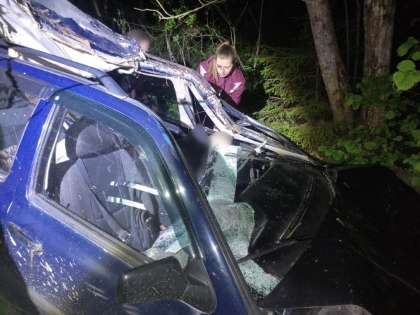 В Беларуси водитель погиб в ДТП с лосем В Беларуси водитель погиб в ДТП с лосем