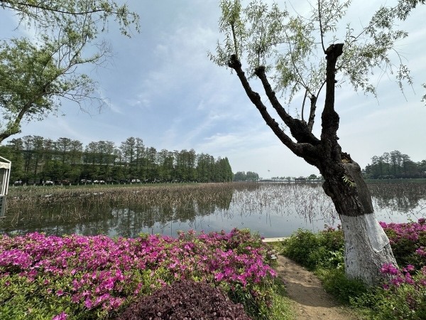 На каких машинах гоняют сами китайцы? Удивитесь, но в топе не только бренды из КНР!