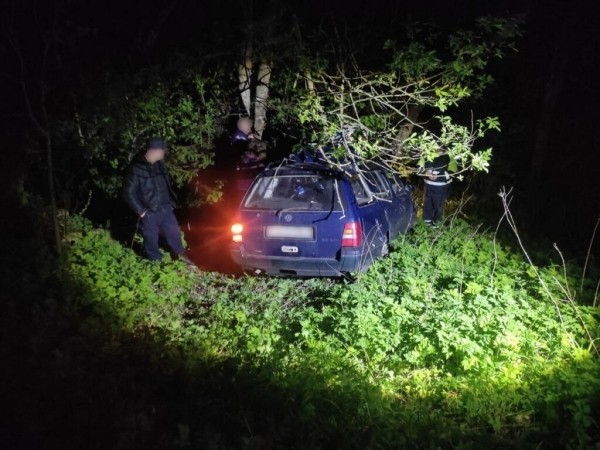 В Беларуси водитель погиб в ДТП с лосем В Беларуси водитель погиб в ДТП с лосем