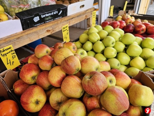 Кто может не платить налог за продажу овощей и фруктов Кто может не платить налог за продажу овощей и фруктов