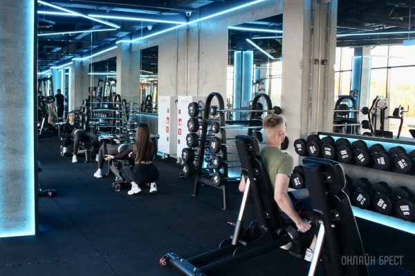 Когда лучше заниматься спортом – утром или вечером? Когда лучше заниматься спортом – утром или вечером?