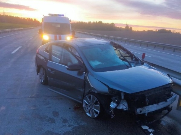 В Беларуси водитель погиб в ДТП с лосем В Беларуси водитель погиб в ДТП с лосем