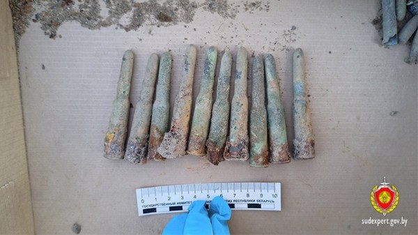 В Каменецком районе сельчанин обнаружил костные останки и патроны В Каменецком районе сельчанин обнаружил костные останки и патроны