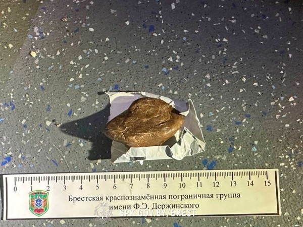 Попытку ввоза наркотиков из Франции пресекли брестские пограничники