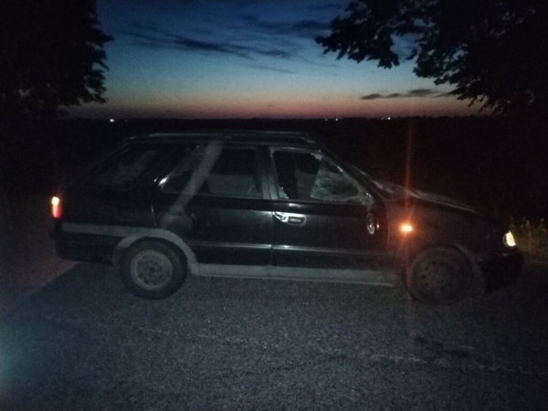 Лось попал под колеса авто в Ляховичском районе Лось попал под колеса авто в Ляховичском районе