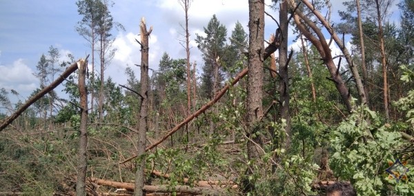 В МЧС рассказали о последствиях непогоды на Брестчине В МЧС рассказали о последствиях непогоды на Брестчине