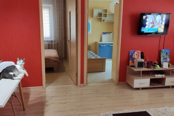 Родители купили для сына квартиру в Бресте в рассрочку Родители купили для сына квартиру в Бресте в рассрочку