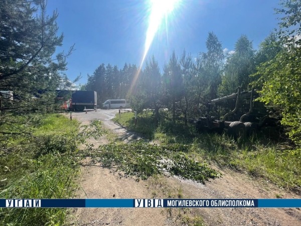 Маршрутка врезалась в трактор — два человека в реанимации Маршрутка врезалась в трактор — два человека в реанимации