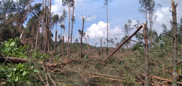 В МЧС рассказали о последствиях непогоды на Брестчине В МЧС рассказали о последствиях непогоды на Брестчине