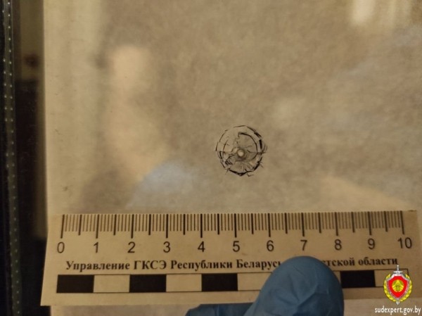 Брестчанин отрабатывал навыки стрельбы на окнах чужой квартиры