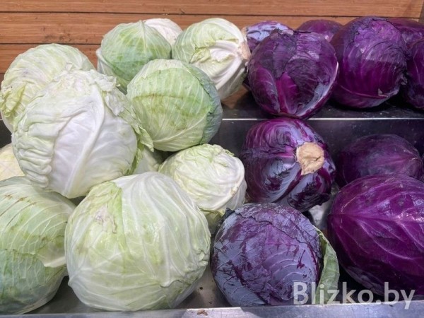 Сравнили цены на продукты в магазинах Беларуси и Израиля. И вот что получилось