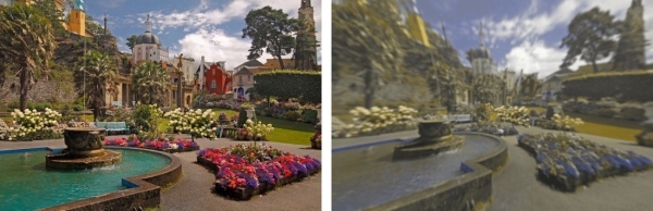 Разительная разница. Ученые показали, как видят мир люди и собаки Разительная разница. Ученые показали, как видят мир люди и собаки